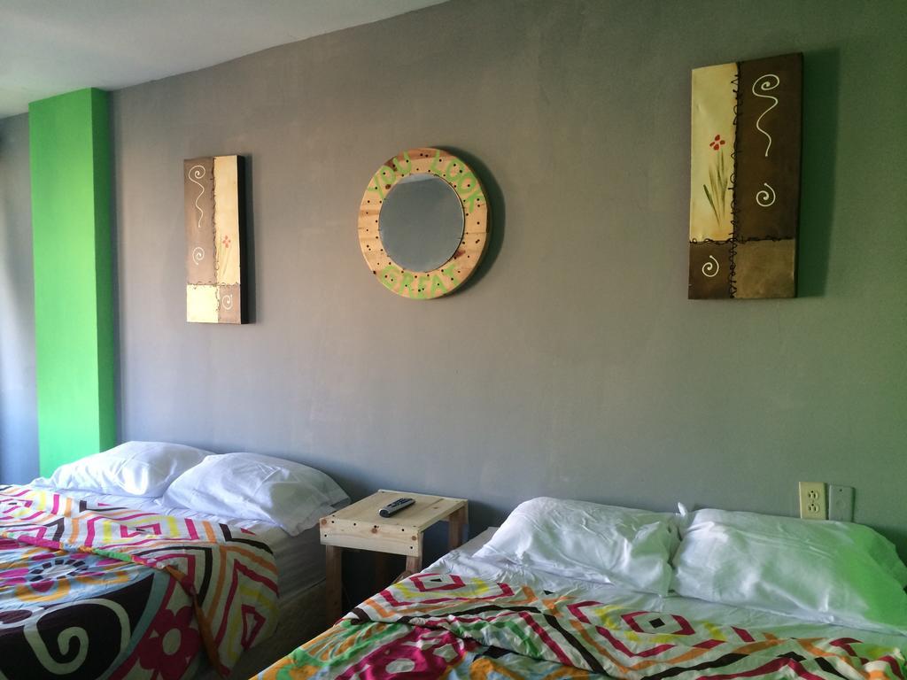 Bajas Cactus Hostel كابو سان لوكاس الغرفة الصورة