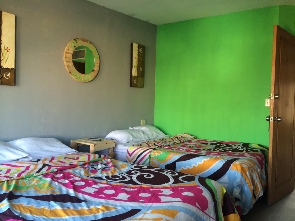 Bajas Cactus Hostel كابو سان لوكاس الغرفة الصورة