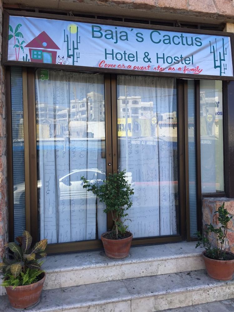 Bajas Cactus Hostel كابو سان لوكاس المظهر الخارجي الصورة