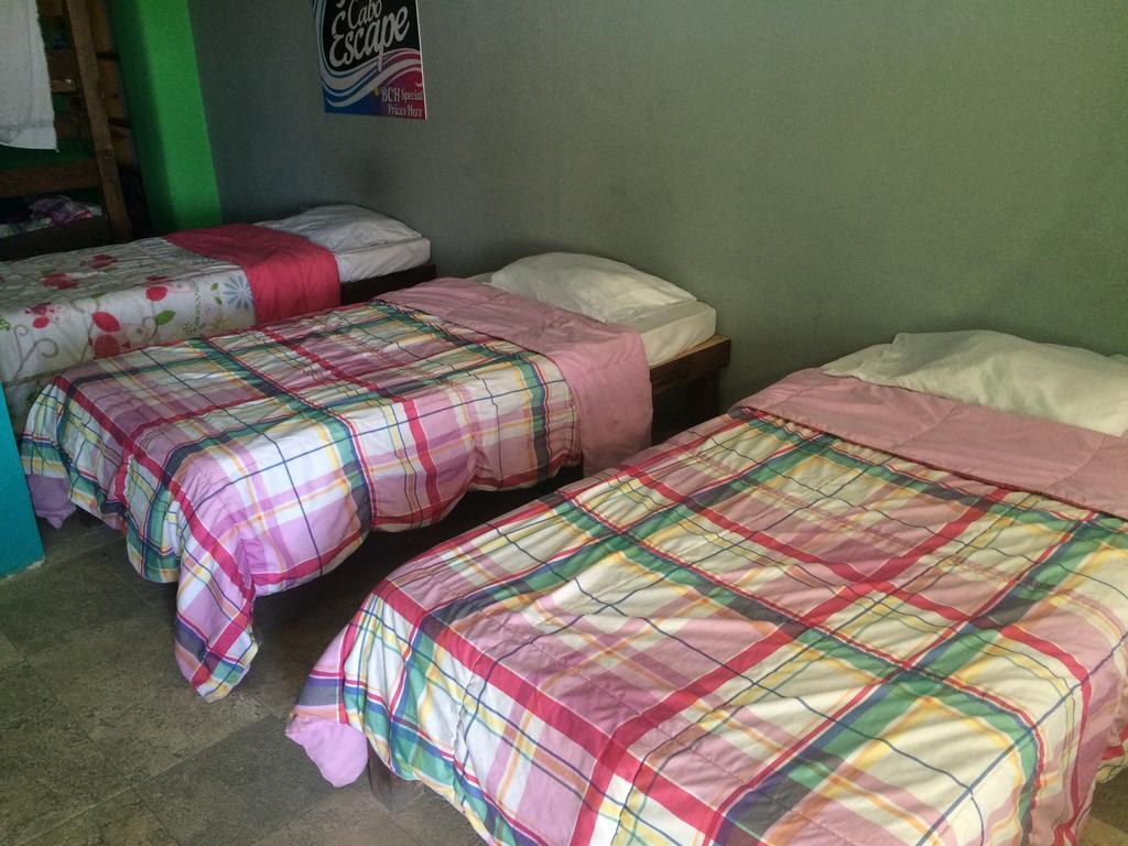 Bajas Cactus Hostel كابو سان لوكاس الغرفة الصورة
