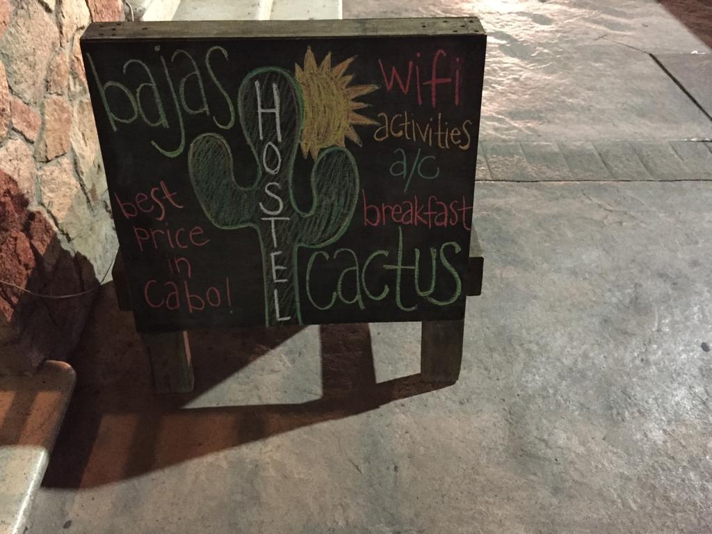 Bajas Cactus Hostel كابو سان لوكاس المظهر الخارجي الصورة
