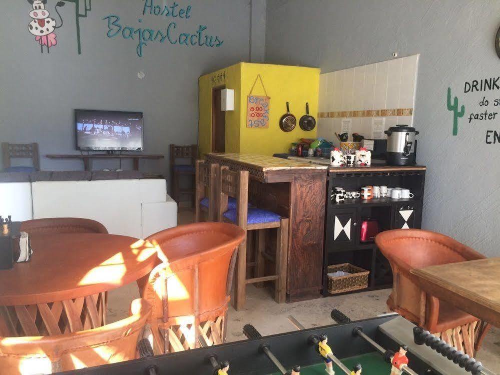 Bajas Cactus Hostel كابو سان لوكاس المظهر الخارجي الصورة