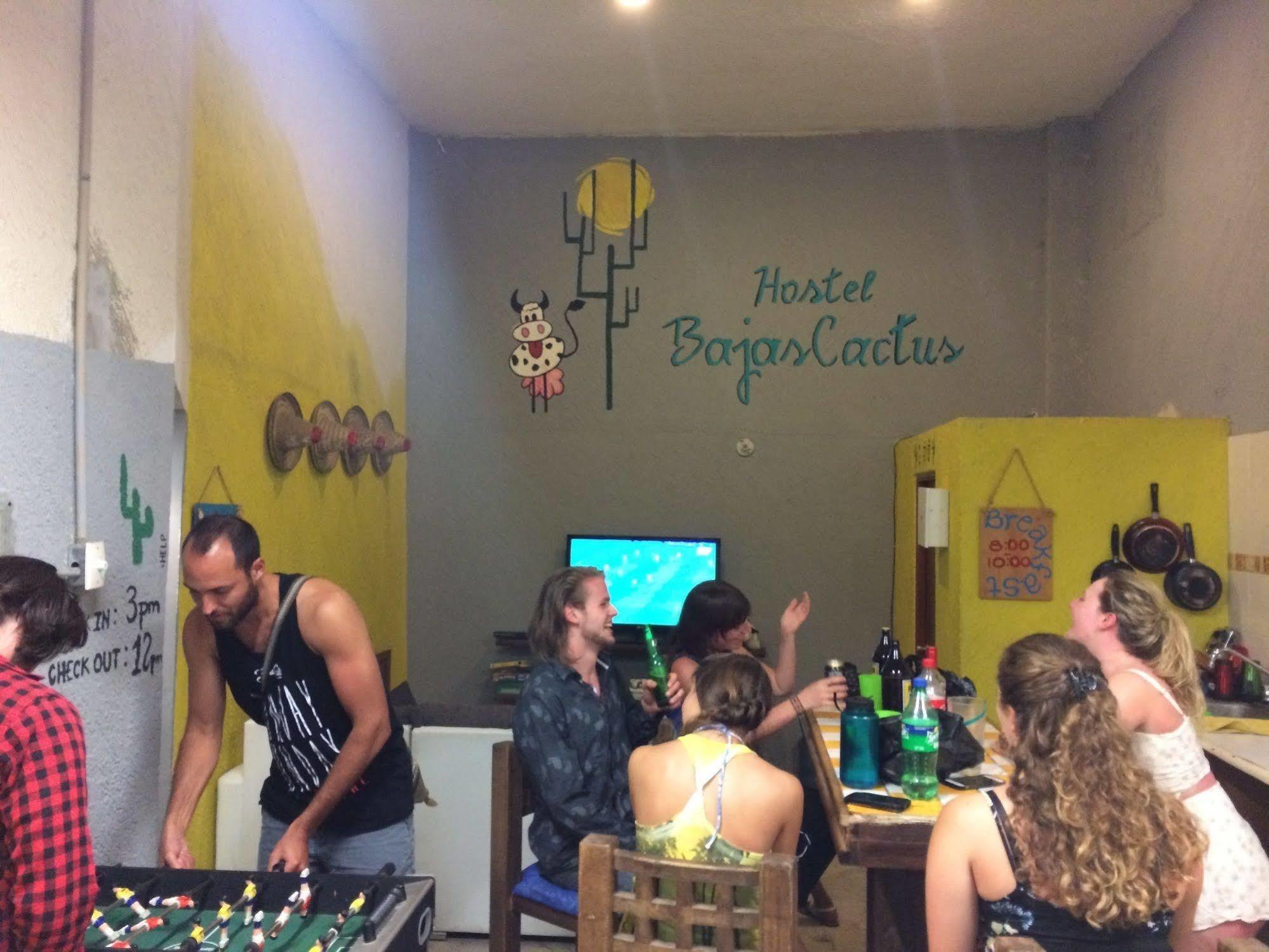 Bajas Cactus Hostel كابو سان لوكاس المظهر الخارجي الصورة