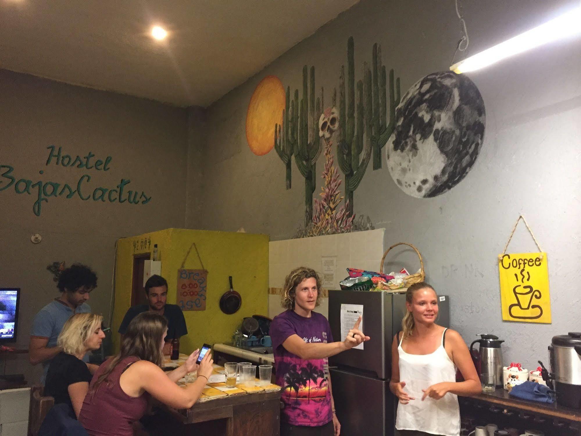 Bajas Cactus Hostel كابو سان لوكاس المظهر الخارجي الصورة