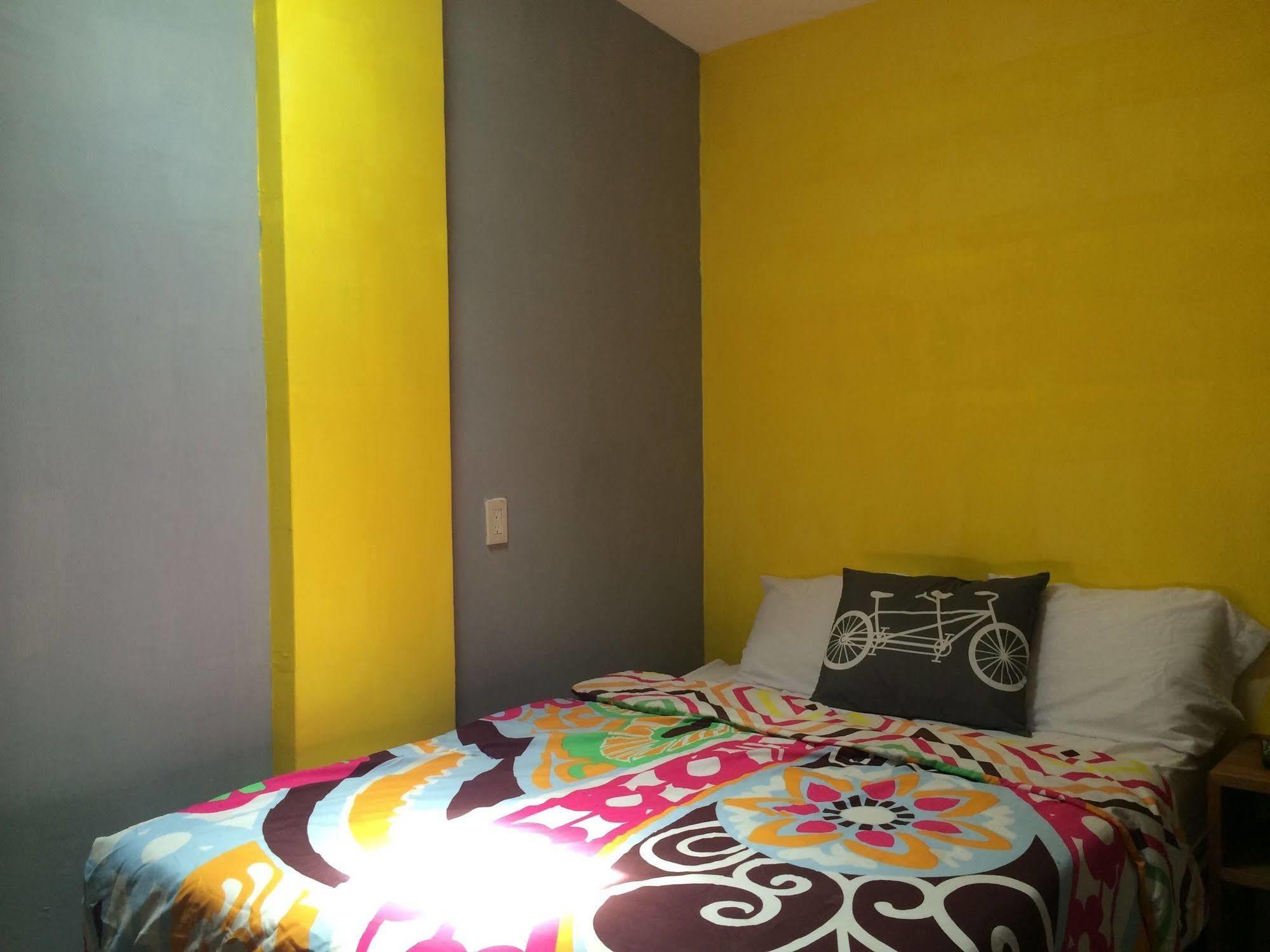 Bajas Cactus Hostel كابو سان لوكاس المظهر الخارجي الصورة