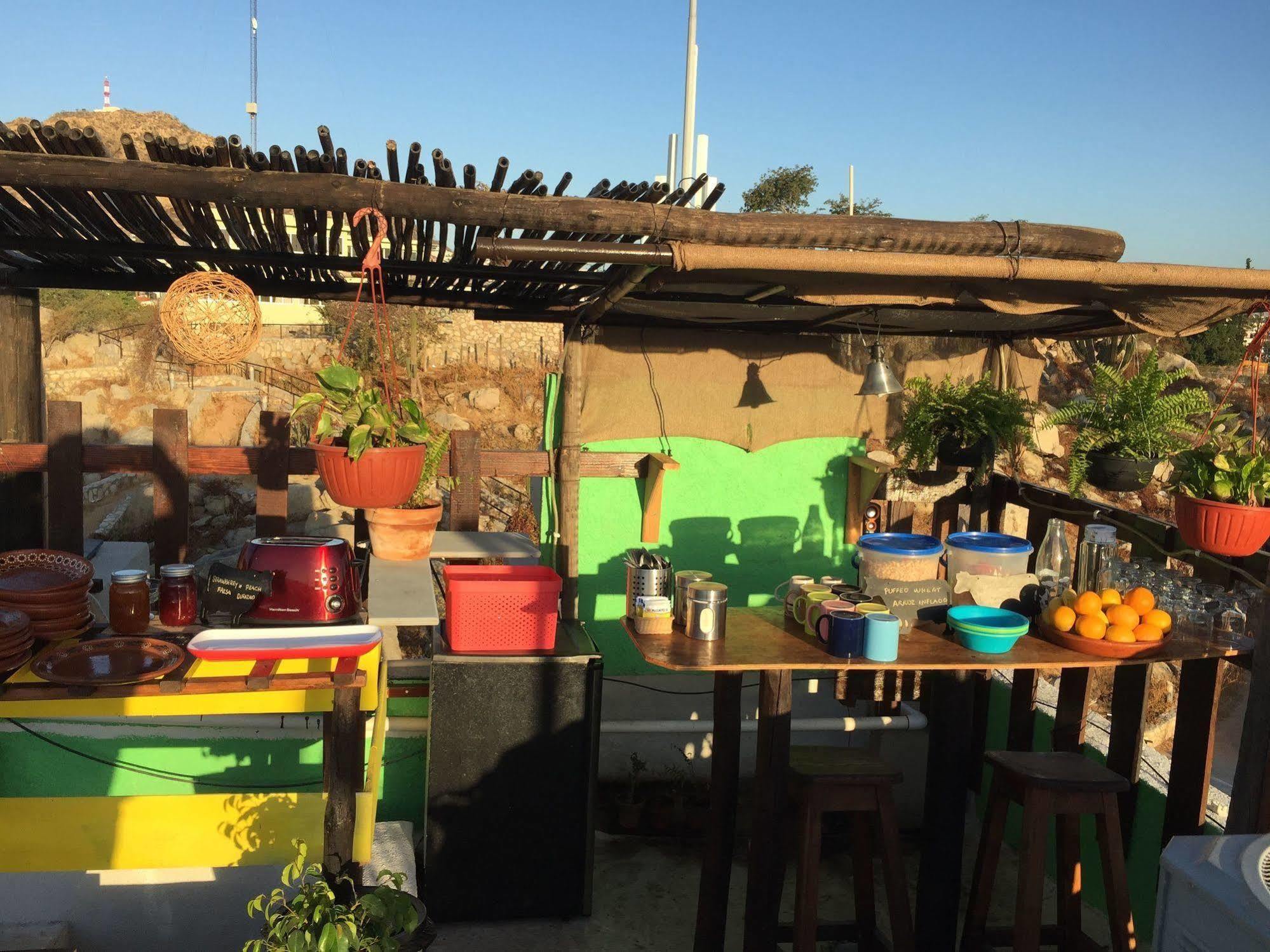 Bajas Cactus Hostel كابو سان لوكاس المظهر الخارجي الصورة