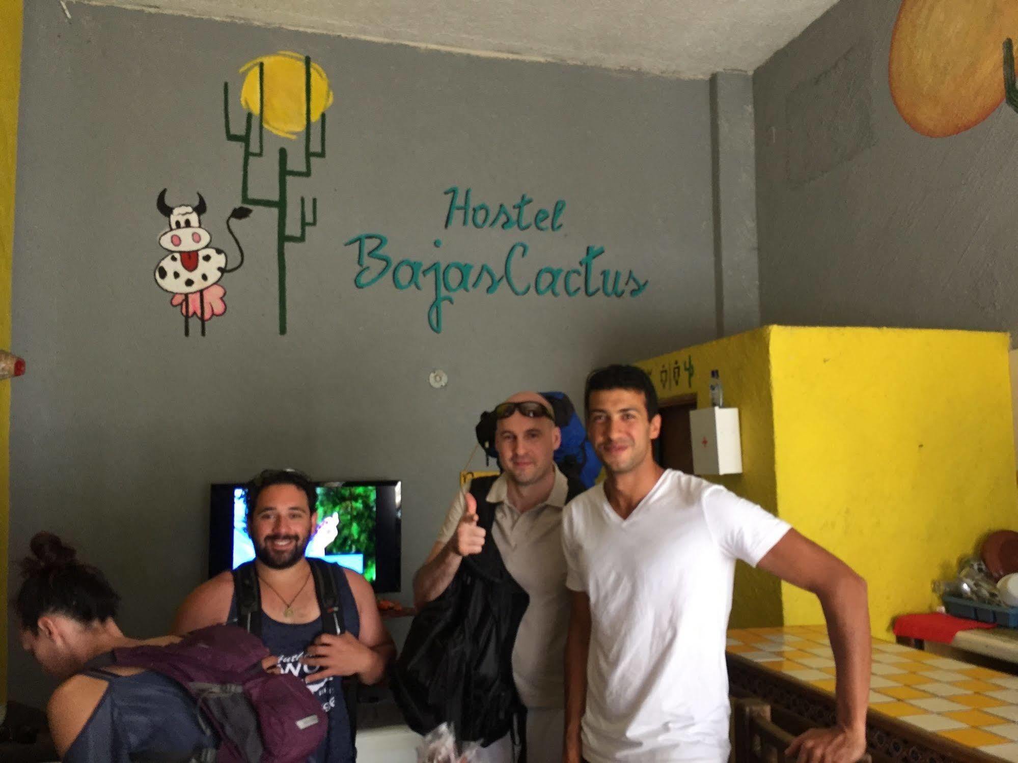 Bajas Cactus Hostel كابو سان لوكاس المظهر الخارجي الصورة