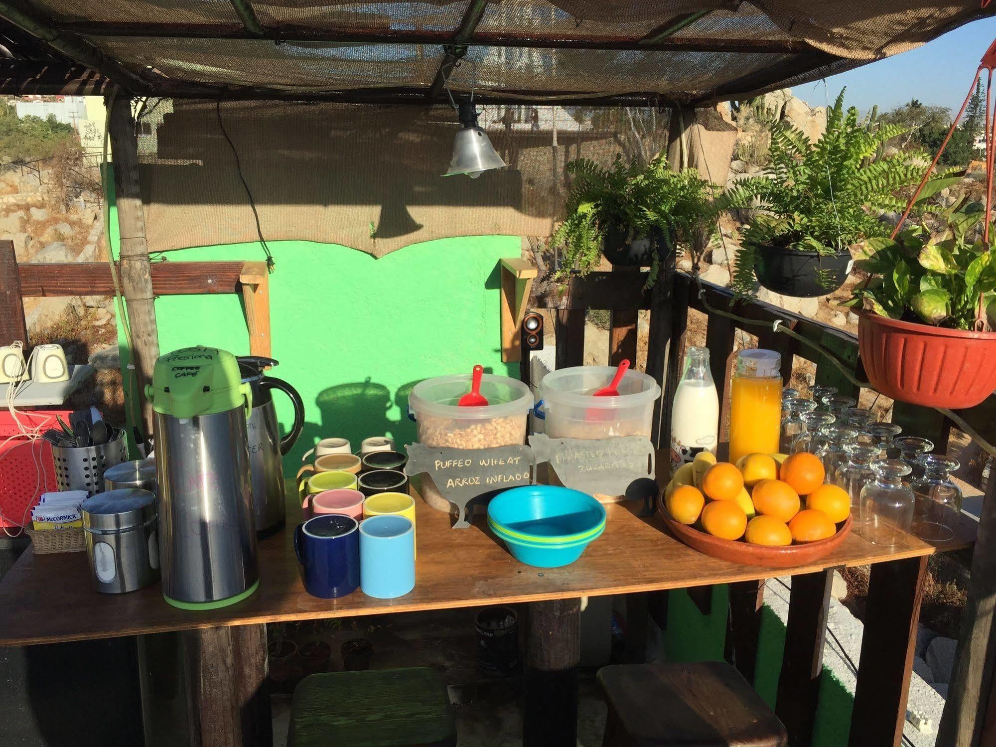 Bajas Cactus Hostel كابو سان لوكاس المظهر الخارجي الصورة