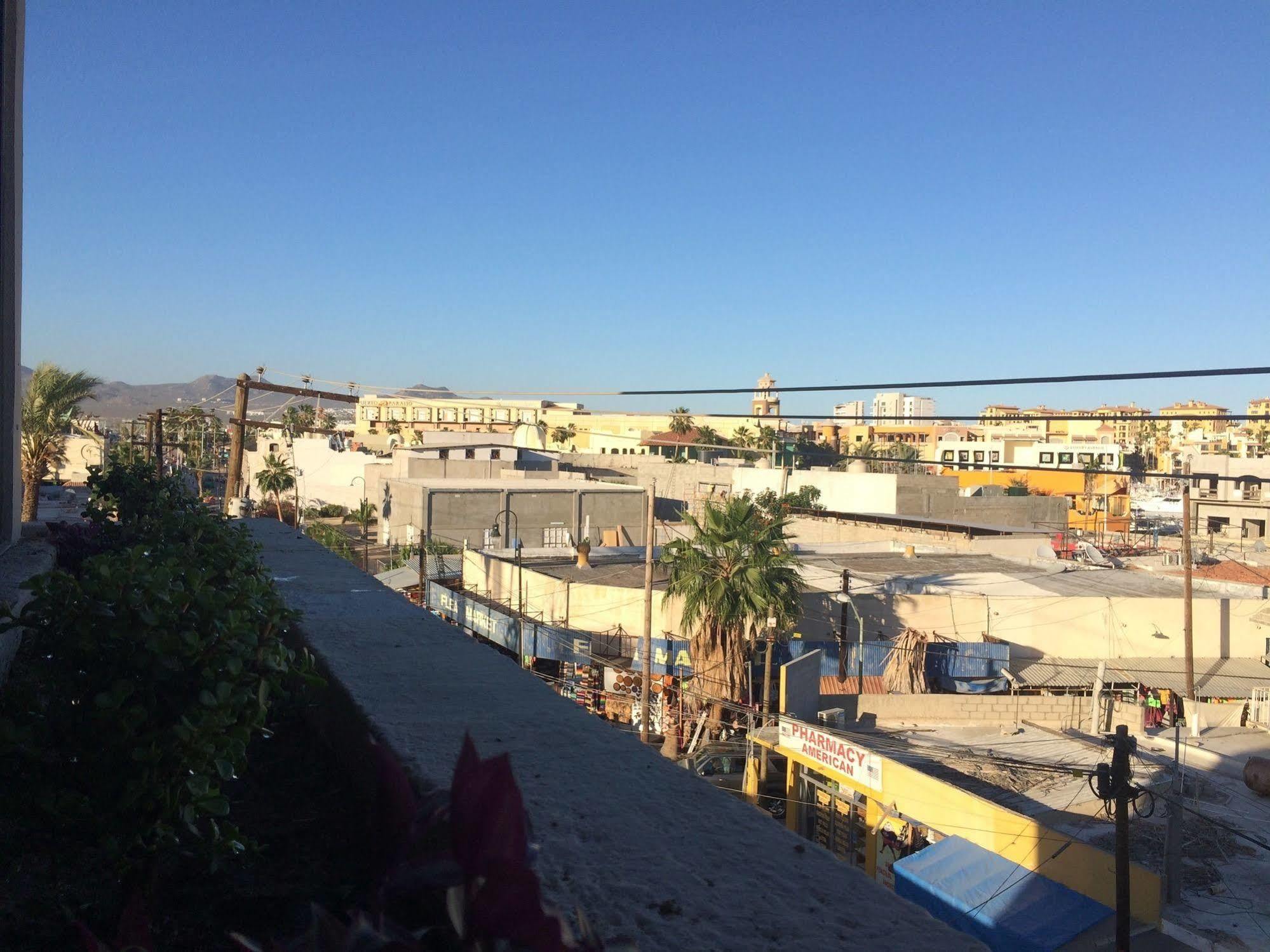Bajas Cactus Hostel كابو سان لوكاس المظهر الخارجي الصورة