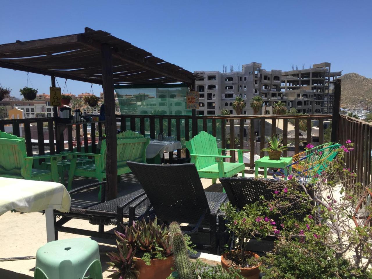 Bajas Cactus Hostel كابو سان لوكاس المظهر الخارجي الصورة