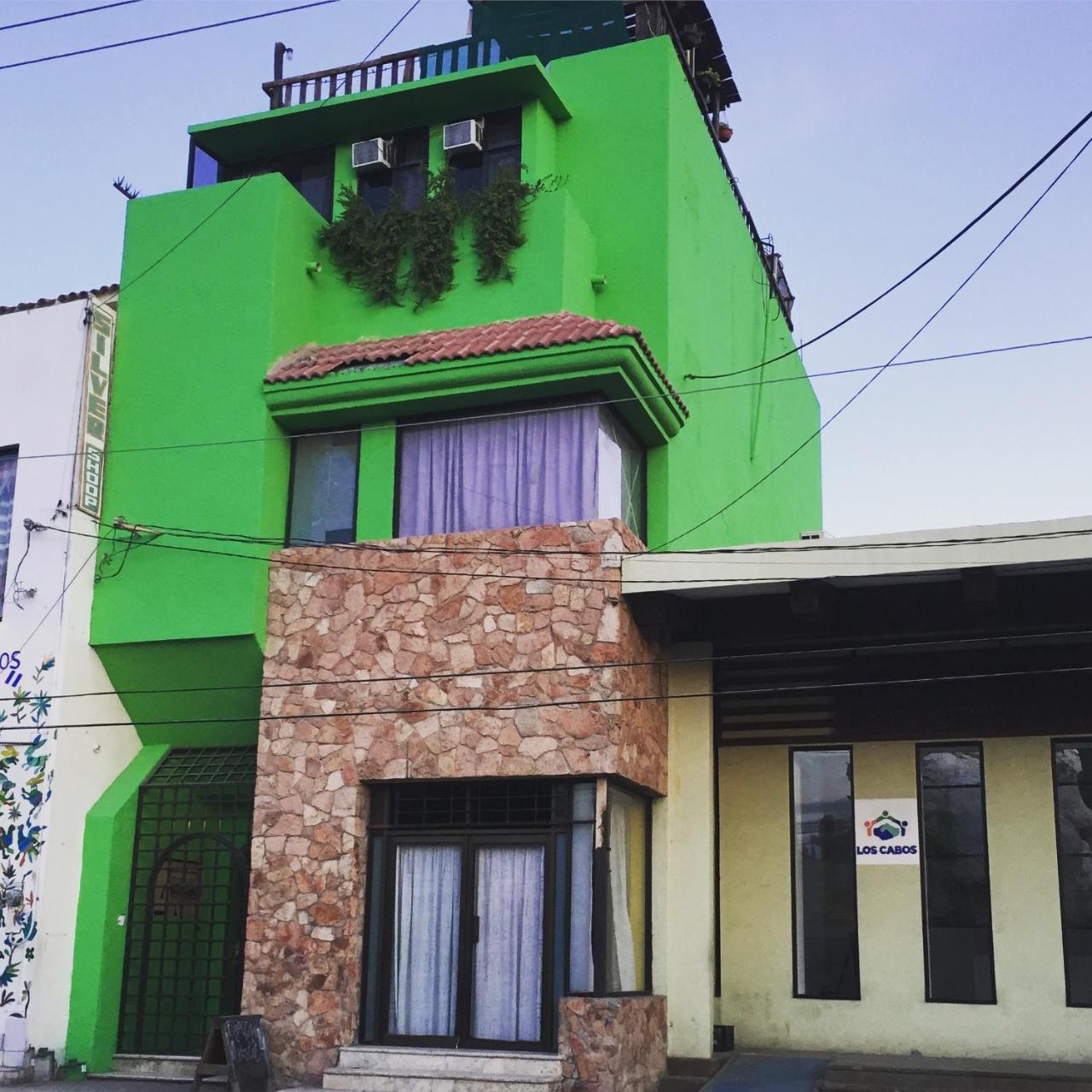 Bajas Cactus Hostel كابو سان لوكاس المظهر الخارجي الصورة
