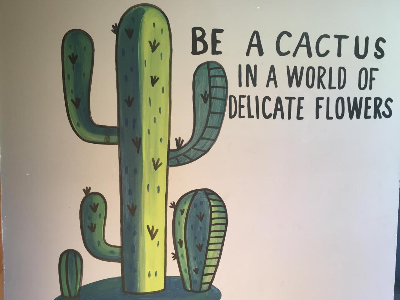 Bajas Cactus Hostel كابو سان لوكاس المظهر الخارجي الصورة