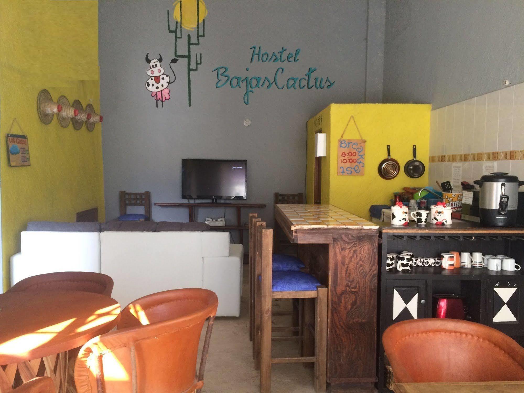 Bajas Cactus Hostel كابو سان لوكاس المظهر الخارجي الصورة