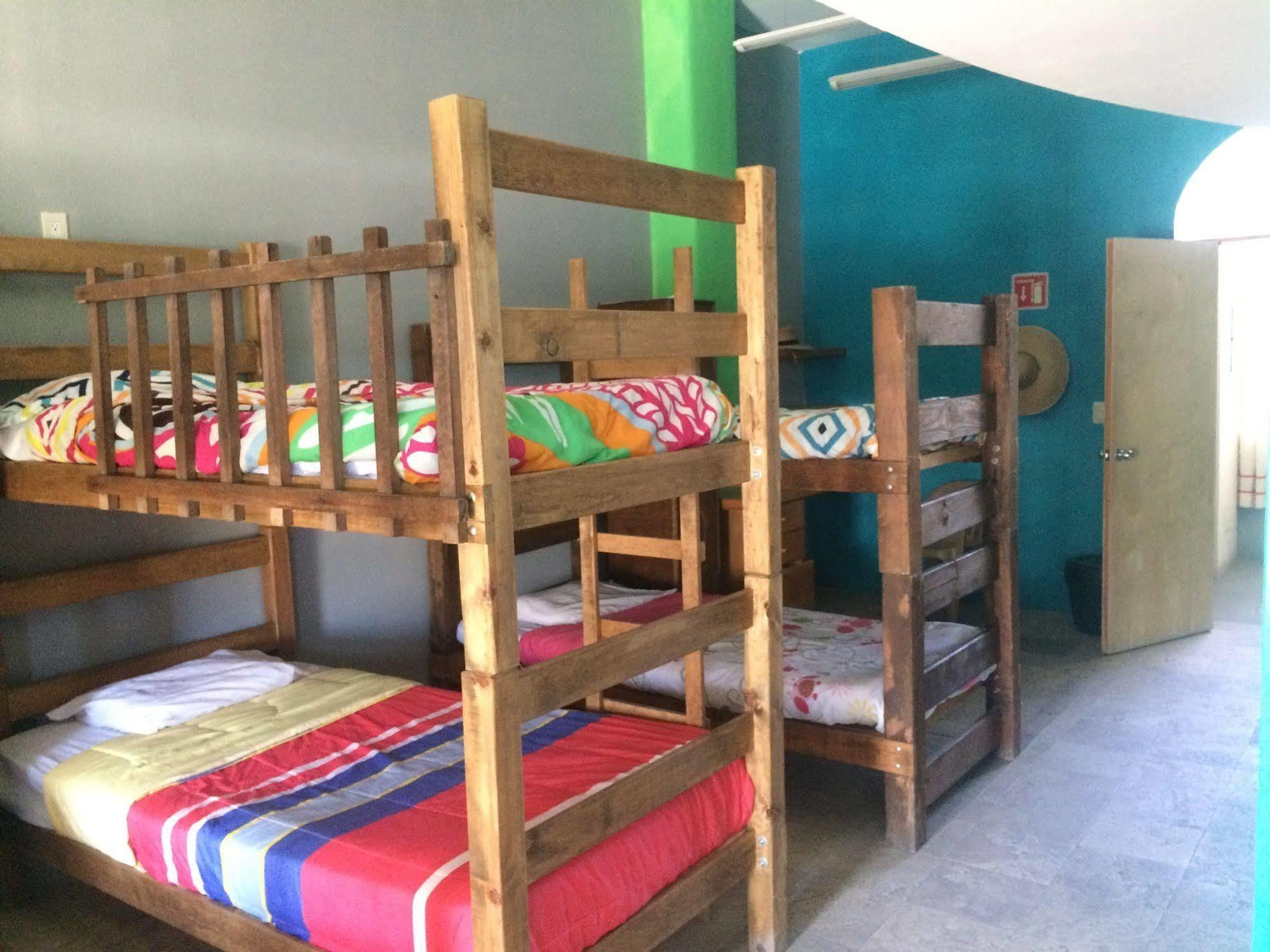 Bajas Cactus Hostel كابو سان لوكاس المظهر الخارجي الصورة