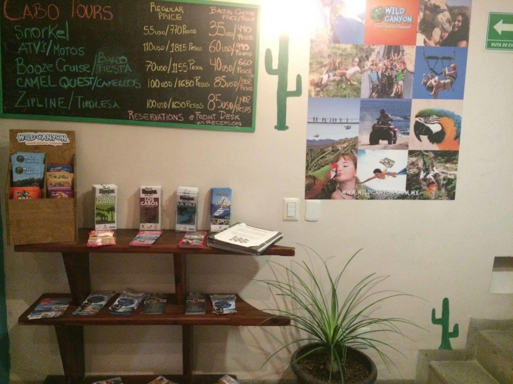 Bajas Cactus Hostel كابو سان لوكاس المظهر الخارجي الصورة