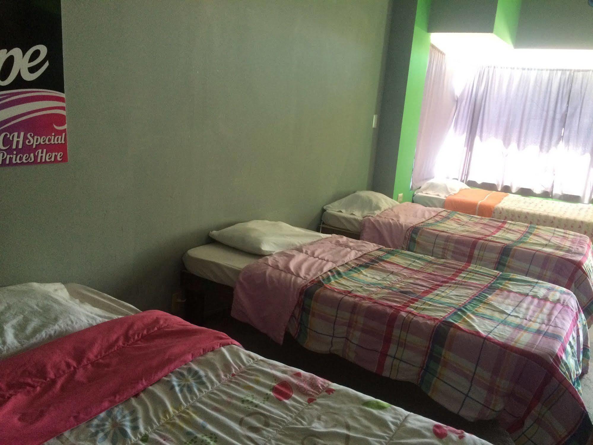 Bajas Cactus Hostel كابو سان لوكاس المظهر الخارجي الصورة